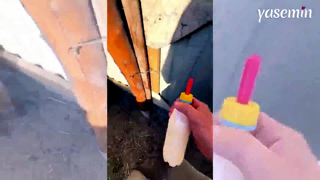 Annesini kaybeden kuzunun sahibine koştuğu anlar sosyal medyada gündem oldu!