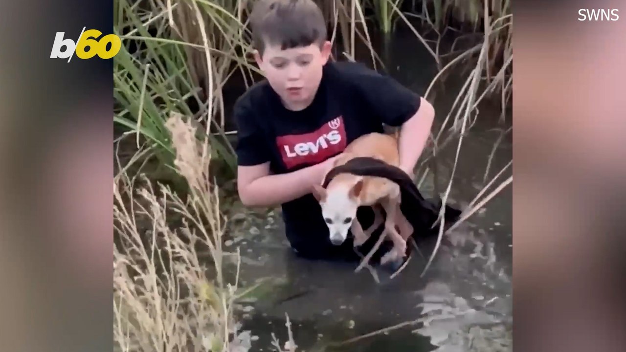 Meet the Stanley brothers who saved an elderly chihuahua in the weeds by a San Antonio fishing spot