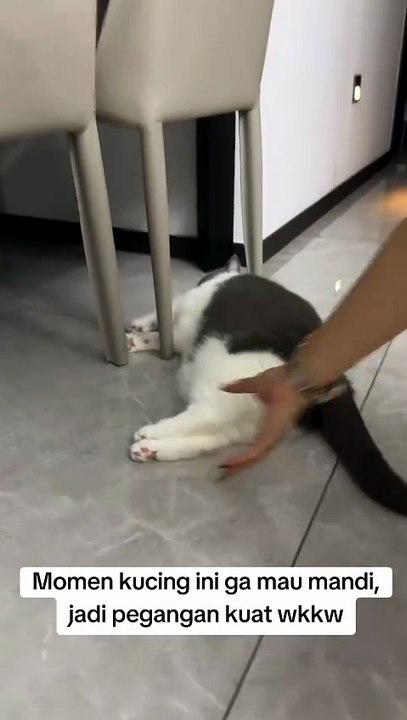 Kucing males mandi