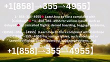 24/7『COINBASE WALLET ®』 SUPPORT© NUMBERS TOLL FREE NUMBER: Easy Step by Step Guide help desk