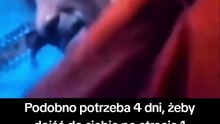 Dobranoc #zdrowie #sen #samopoczucie #dobranoc #ciekawostki