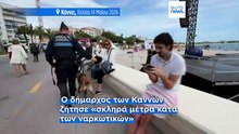 Φεστιβάλ Καννών: Αστυνομικοί σκύλοι σε αναζήτηση ναρκωτικών