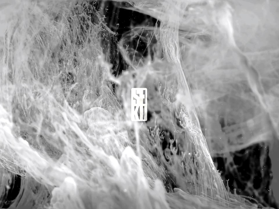 SEKI - Slow Down (Visualizer)