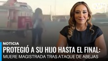 Protegió a su hijo hasta el final: muere magistrada tras ataque de abejas en Zacatecas.
