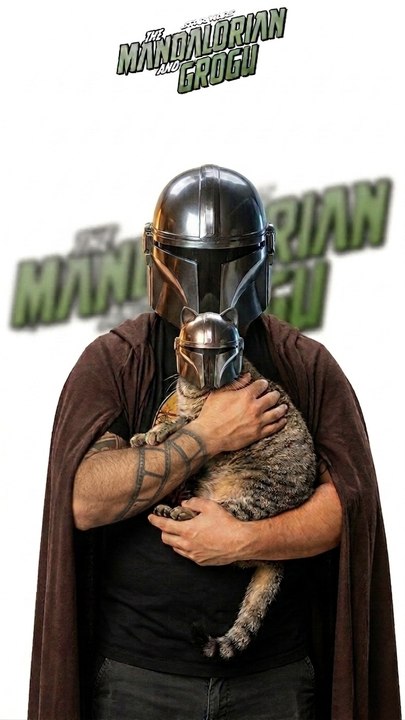 MANDALO-CAT