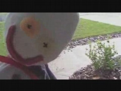 Tornado Funnel Cloud