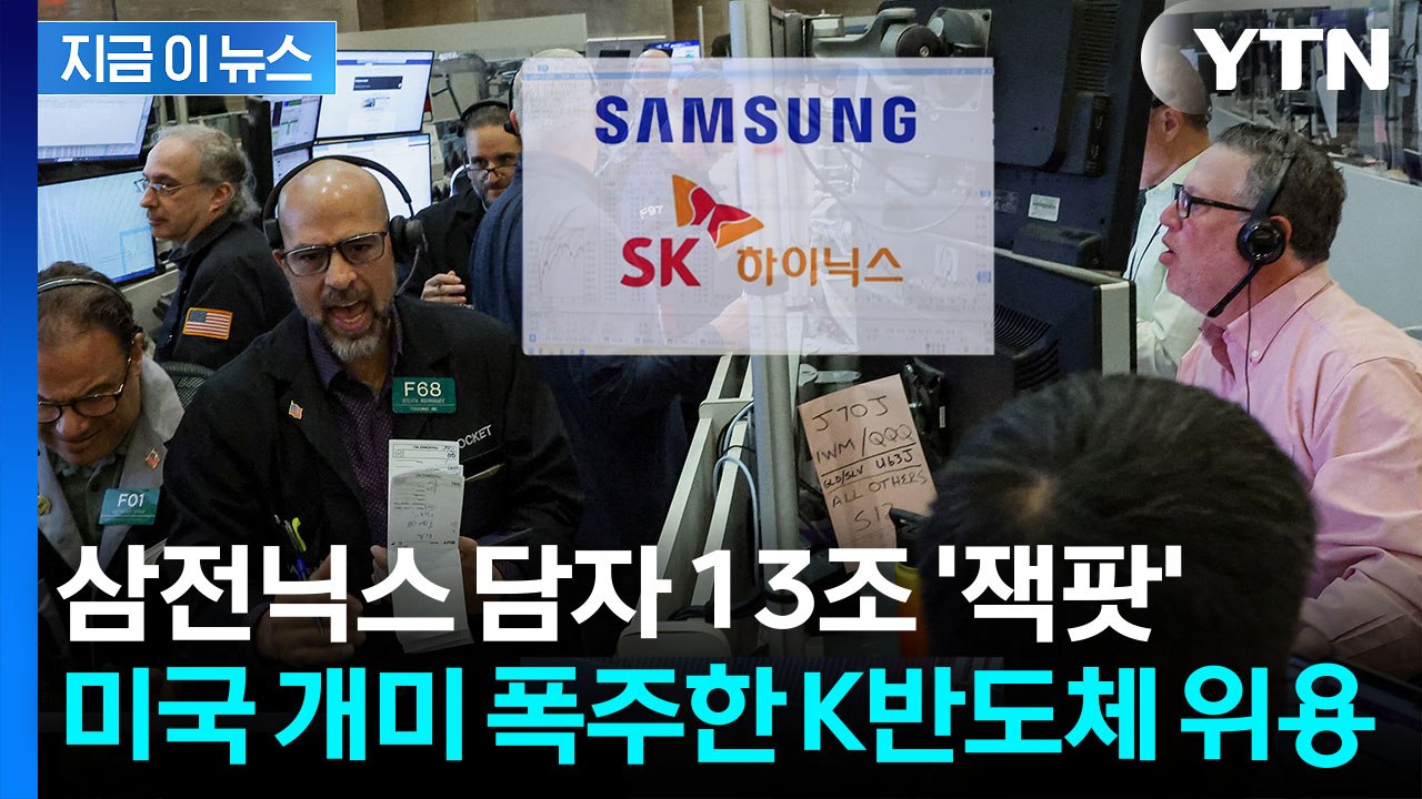 추월 당한 돈나무 언니...삼전닉스 담더니 '이례적인 성공' [지금이뉴스] / YTN