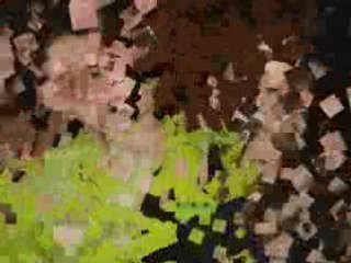 Випуск 2001/2008г. Оу "васил Левски"