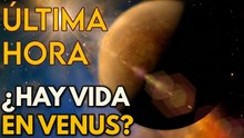 ¿Vida extraterrestre en Venus? Científicos descubren posible señal de vida en el sistema solar