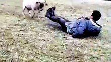 ​"Try Not To Laugh: Chaos Edition"