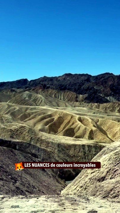 LES NUANCES de couleurs incroyables