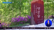 “자작나무 숲·곰배령서 힐링하세요”