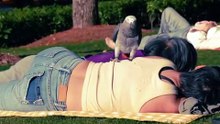 Stretching: A Bird's Pre-Poop Ritual 🦜🧻