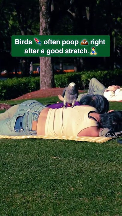 Stretching: A Bird's Pre-Poop Ritual 🦜🧻