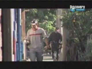 Documental  discovery  maras 3