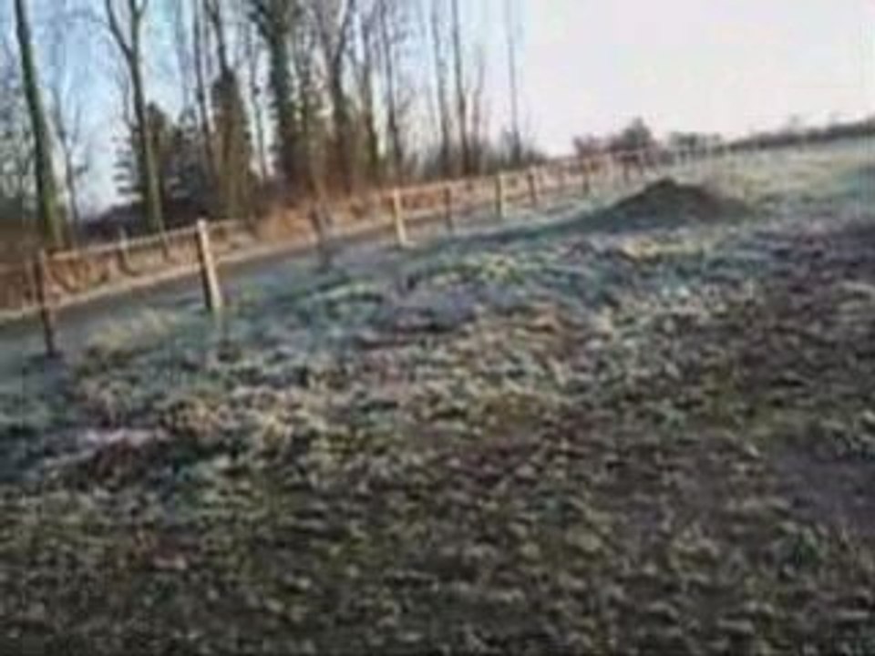 Montage patou éthologie