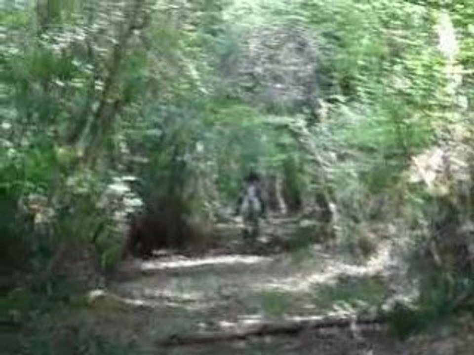 MOV05037