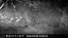DSCF0672 (online-video-cutter.com)