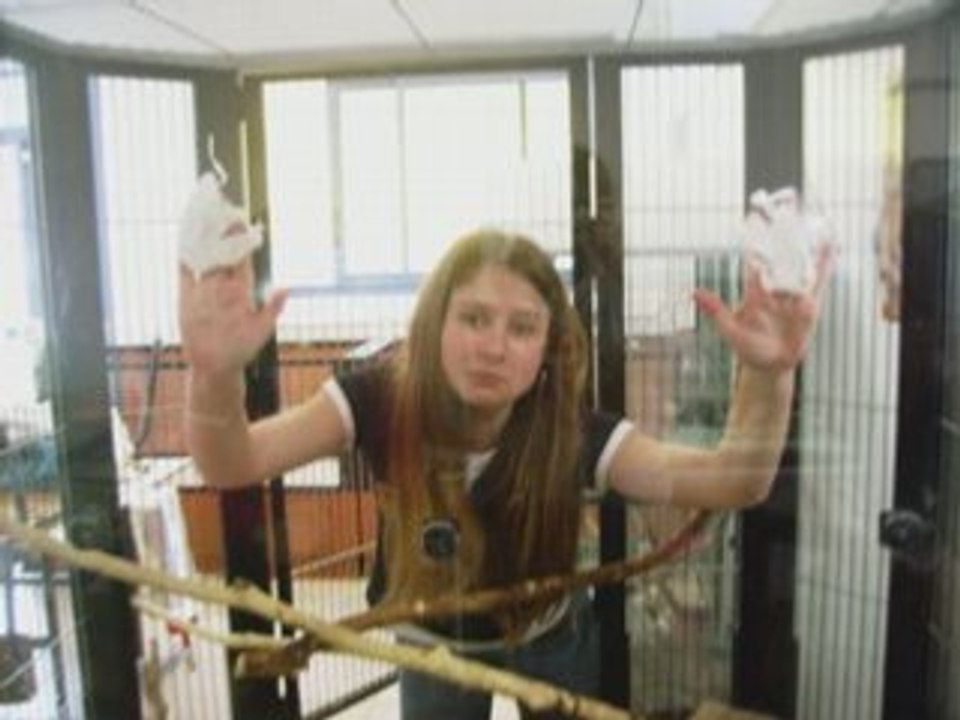 SansTitre_0001