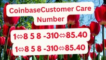 [[Full«++9.^9..%»List]] Complete Official Coinbase Customer Care® Numbers in the: A complete guides