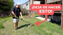 ¡Probé esto en vez de pagar por el servicio de jardinería!