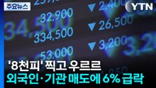 '8천피' 찍고 우르르...외국인·기관 매도에 6% 급락 / YTN