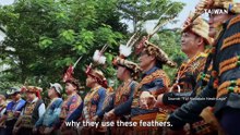 Fly! The Film Fighting To Protect Taiwan's Largest Bird of Prey