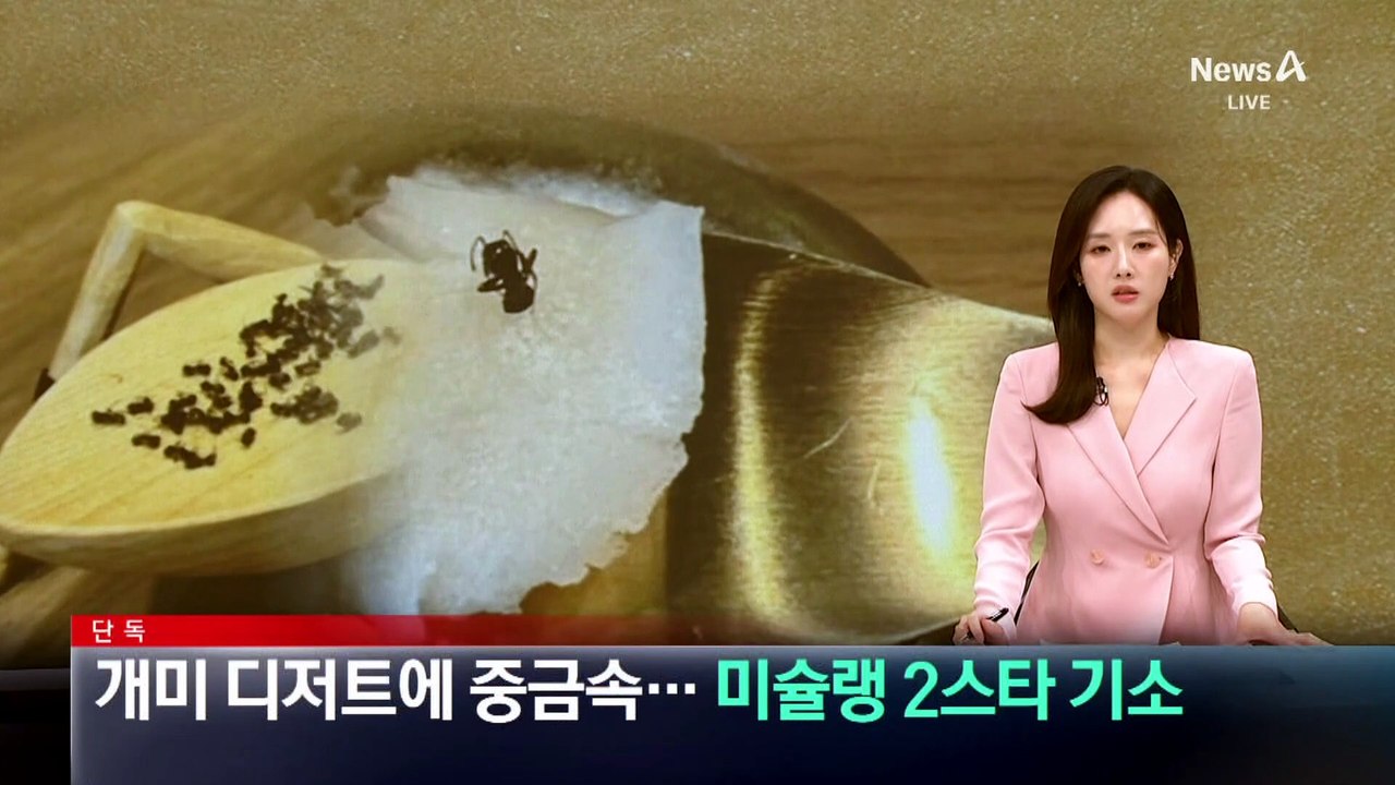 [단독]‘개미 디저트’ 때문에…‘미슐랭 2스타’ 기소