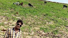 Harpal Singh Jadon