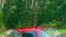 Peugeot 208 Allure Diesel
