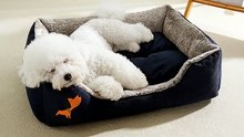 PetBuds Durable DogBed – Better Sleep, Happier Pets