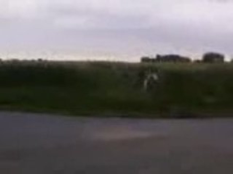 defiis-2