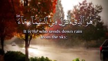 ﴿ هُوَ الَّذِي أَنْزَلَ مِنَ السَّماءِ ماءً لَكُمْ مِنْهُ شَرَابٌ وَمِنْهُ شَجَرٌ فِيهِ تُسِيمُونَ ﴾