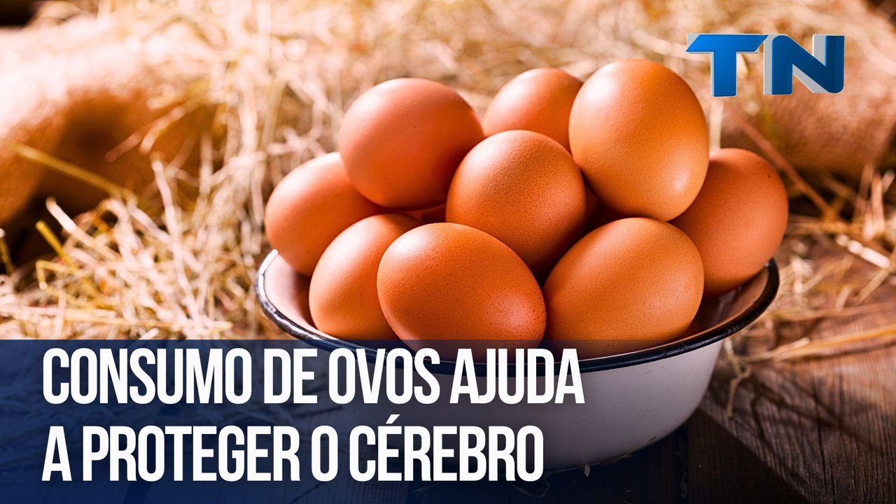 Consumo de ovos ajuda a proteger o cérebro