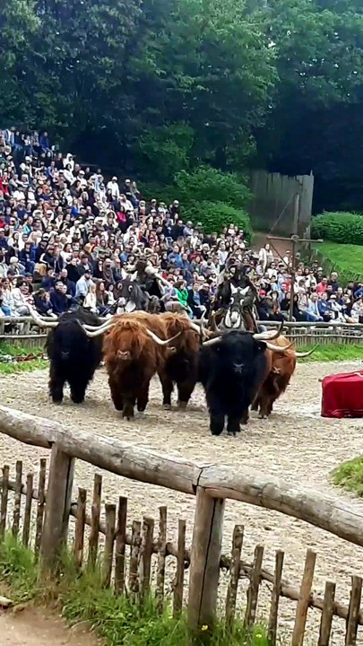 LE PUY DU FOU Les Vikings (7)