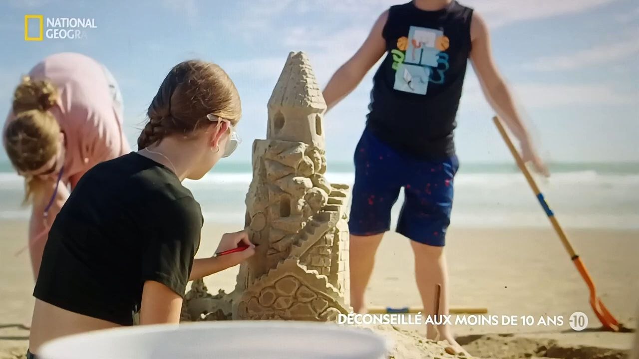 Shark attack documentaire animalier