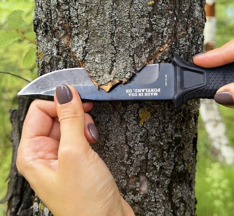 Nature's Gift: Master the Art of Fire Starting