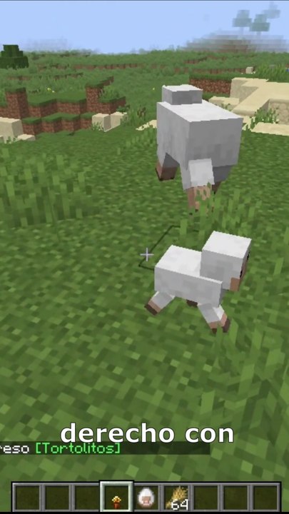como evitar que crezca un mob bebe en minecraft versión 26