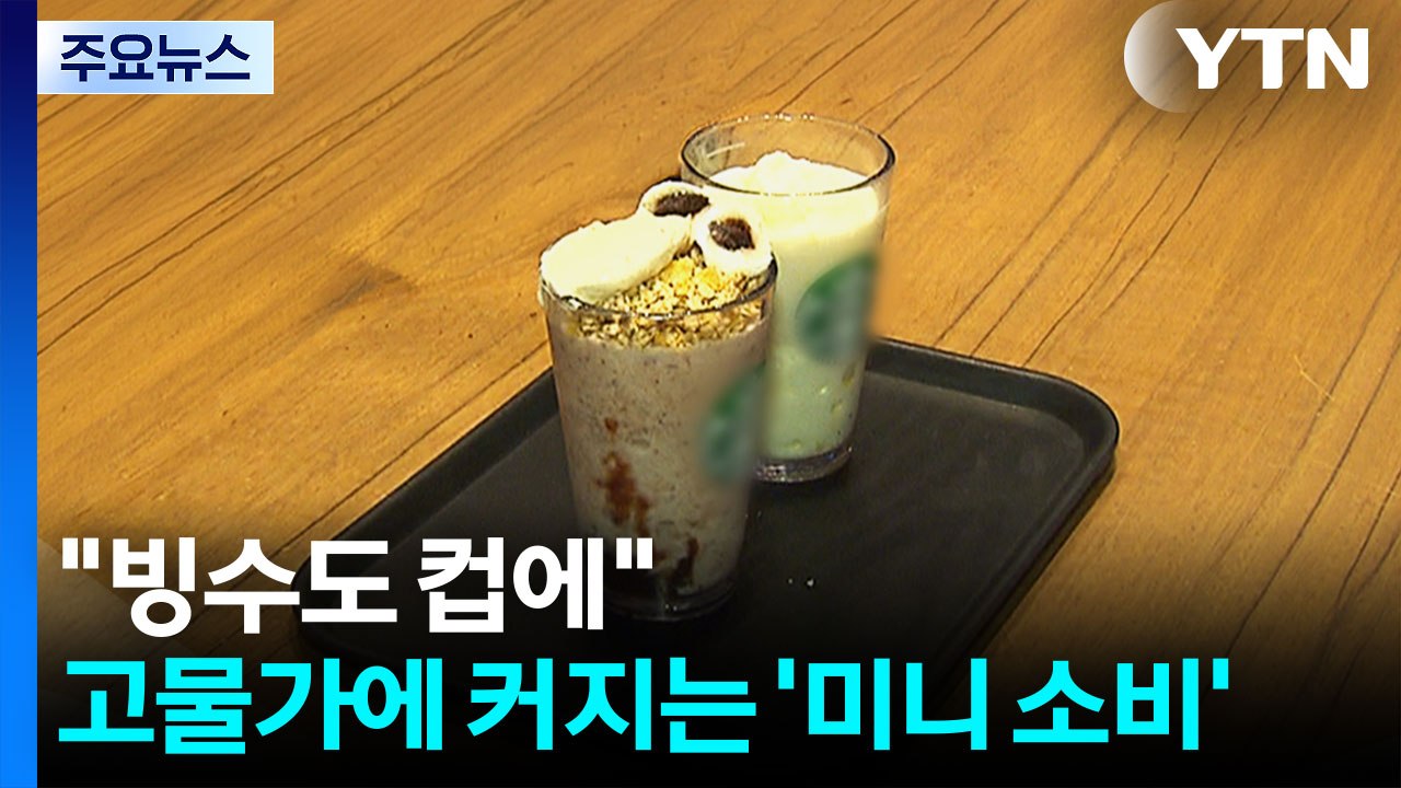 "빙수도 컵에"...고물가에 커지는 '미니 소비' / YTN