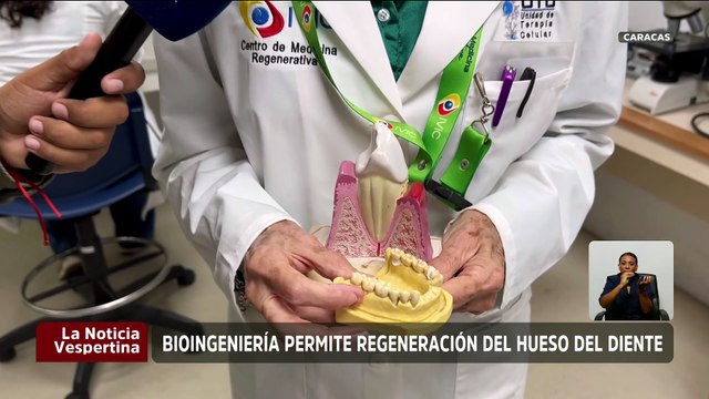 Profesionales del IVIC avanzan en terapia para regenerar el tejido de la dentadura afectada