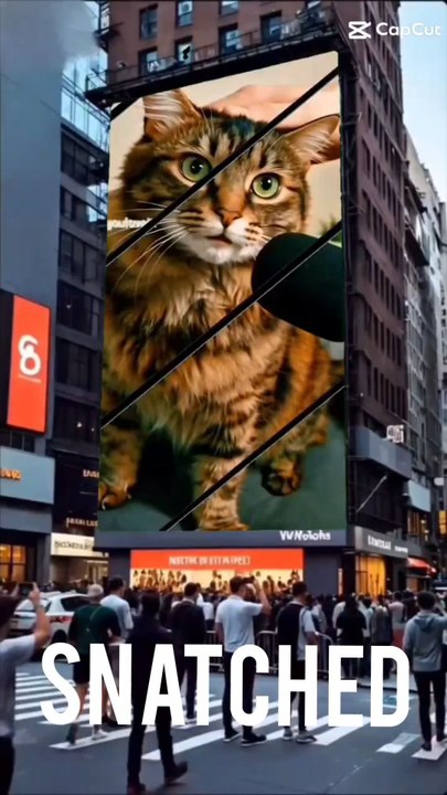 Soap Opera Cats Replace Leroy