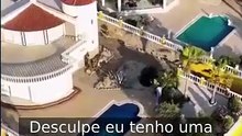 Mentiras de Amor (2026) | Filme Completo em Português
