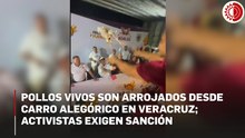 “Ninguna tradición justifica el sufrimiento”: denuncian crueldad animal en Veracruz tras video de pollos siendo arrojados