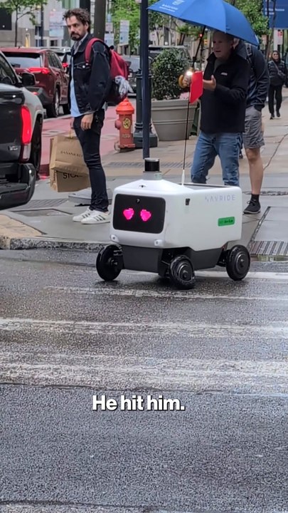 Delivery robot seems to fall in love after being hit by car