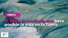 El agua, la molécula que hace posible la vida en la Tierra