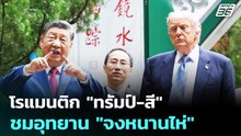 โรแมนติก "ทรัมป์-สี" ชมอุทยาน "จงหนานไห่" | ทันข่าวสุดสัปดาห์ | 16 พ.ค. 69