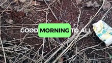 Good morning