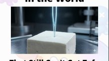 The Sharpest Thing in the World — That Still Can't Cut Tofu #NEO #RAINBOWADVENTURE
