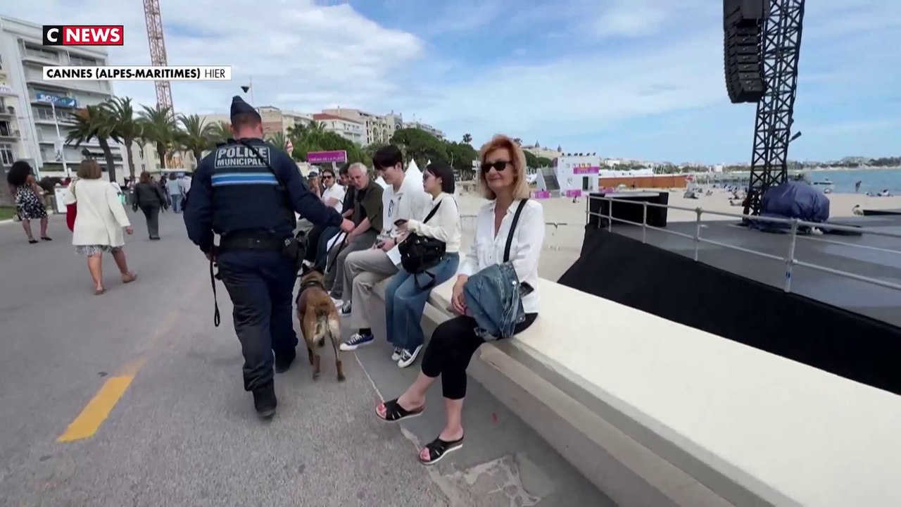 En plein festival de Cannes, les chiens renifleurs traquent le trafic et la consommation de drogues