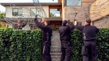 Luxury Topiary Swan Entrance Design Transformation #gardening #gardeningtips #topiary #topiarygarden #video